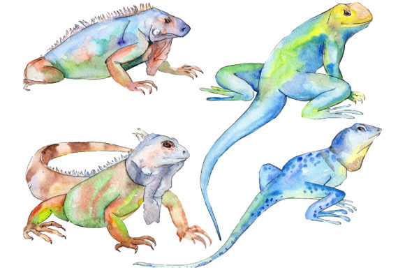 Animal World Iguaana Watercolor Illustrations