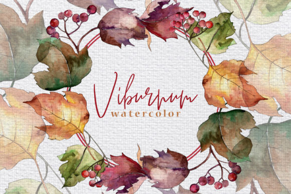 Autumn Viburnum Leaves Watercolor Set and Illustrations