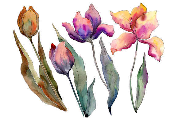 Bouquet of Flowers from Tulips Perfection Watercolor