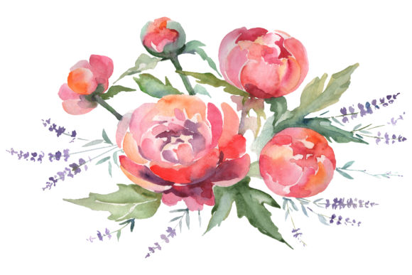 Bouquet with Peonies and Lavender Red Watercolor Illustrations