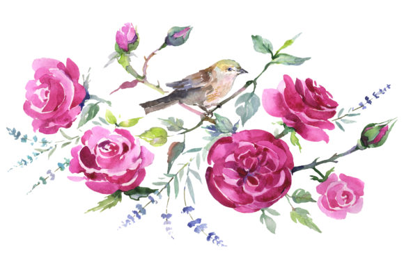 Bouquet with Roses and a Bird Watercolor Illustrations
