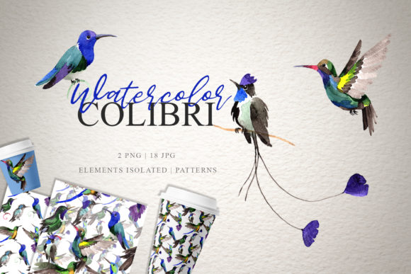 Colibri Watercolor Illustrations