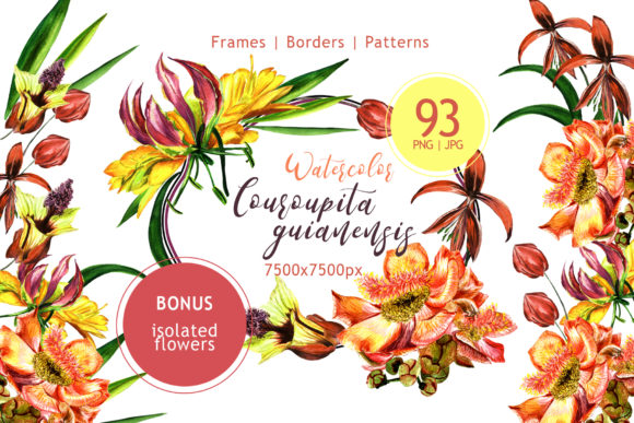 Couroupita Guianensis Watercolor Set and Illustrations