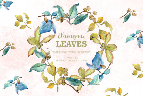Elaeagnus Leaves Watercolor PNG Illustrations