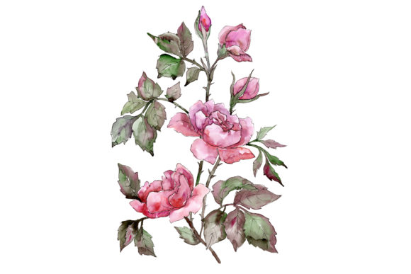 Elegant Bouquet of Pink Rose Watercolor Set