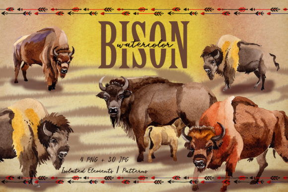 Exotic Bison Wild Animal Watercolor Set and Illustrations