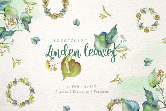 Linden Leaves Watercolor Illustrations