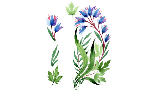 Ornament in Classic Watercolor Style and Illustrations