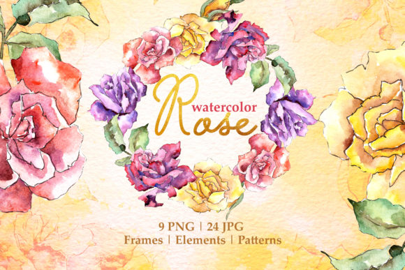 Rose Multi-colored Watercolor Illustrations