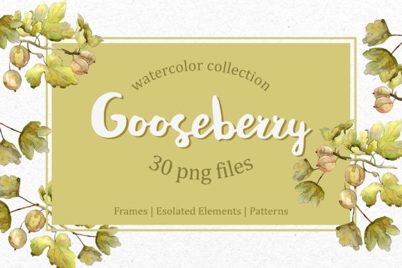 Watercolor Gooseberry Review
