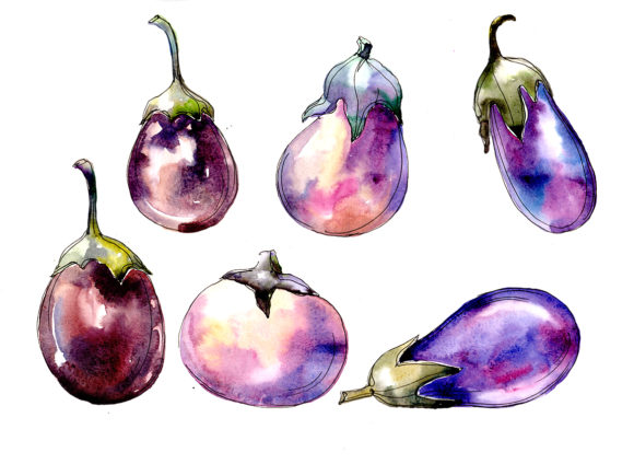 Watercolor Purple Eggplant Vegetable Set and Illustrations