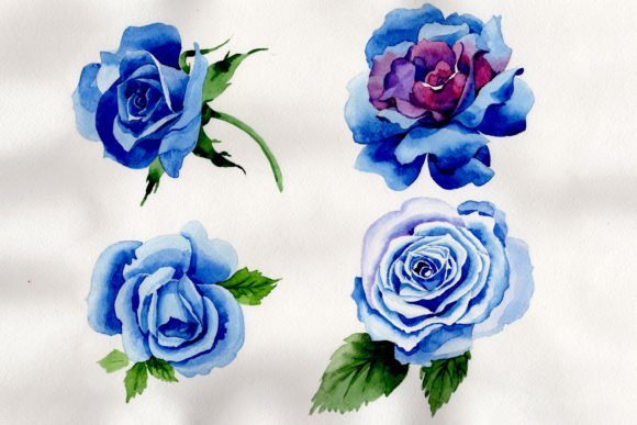 Wildflower Blue Rose Watercolor Set